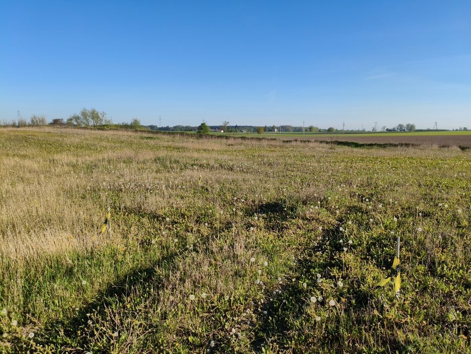 Działka budowlana 1200m2+ Warunki Zabudowy