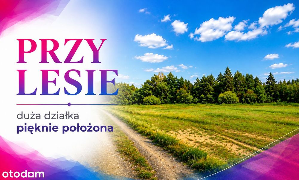 Przy Lesie.
