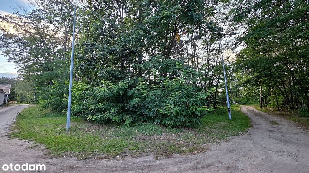 Zdjęcie 6