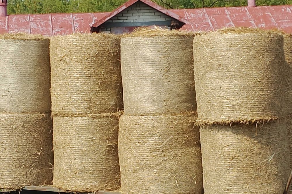 Sprzedam słomę w belach