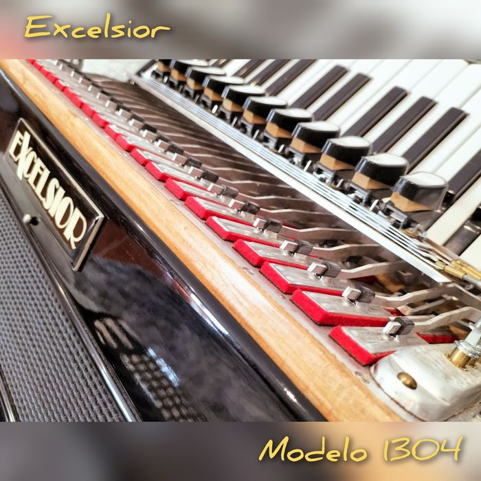 Top - Acordeão italiano Excelsior 96 baixos