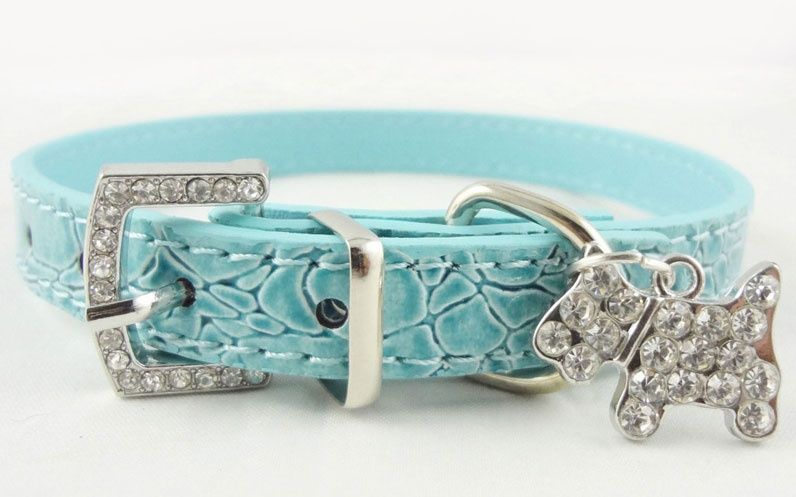 Kolorowe obróżki dla piesków