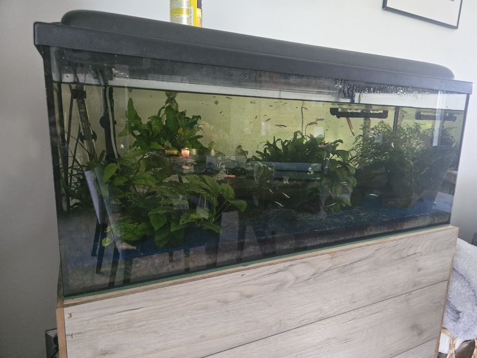 Akwarium 150l ze wszystkim