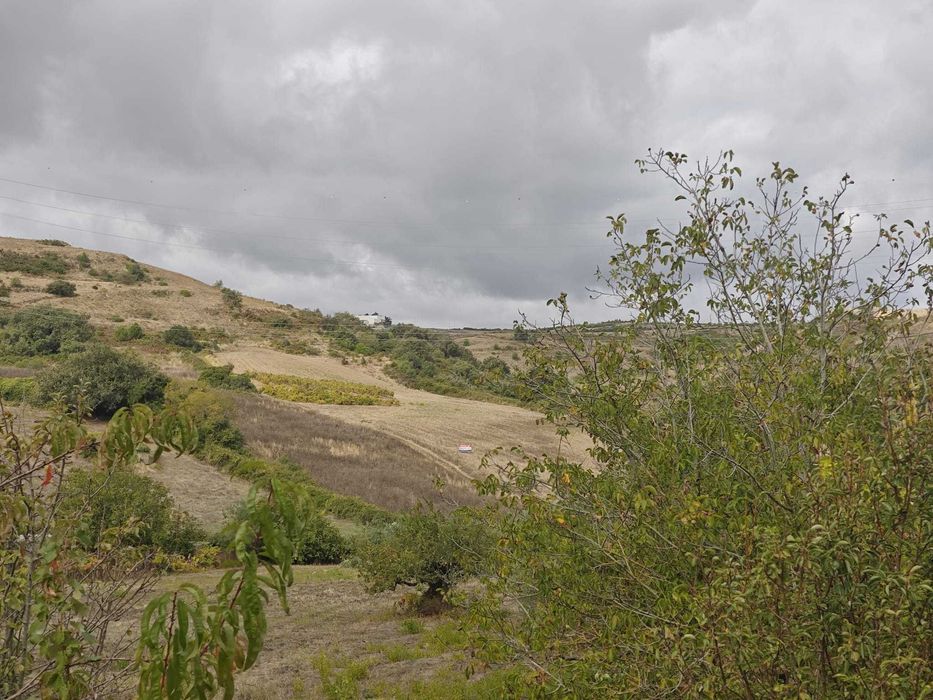 Terreno com 2 hectares