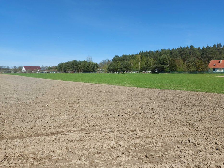 Działka budowlana w Miodarach koło Oleśnicy - Widok 2