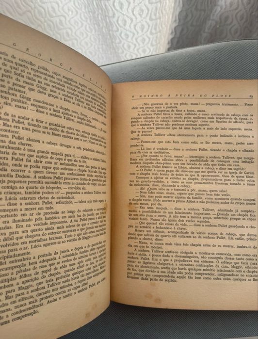 Livro Moinho à Beira do Floss