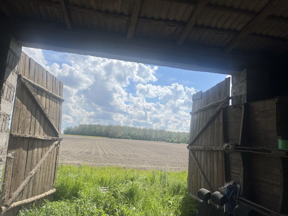 Wynajmę Budynki gospodarcze Grodkowo Włóki