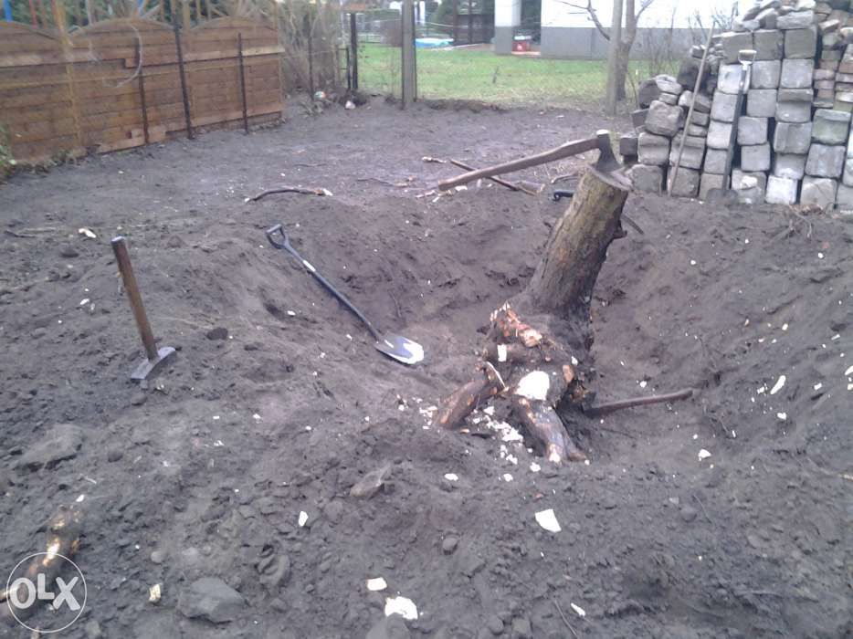 Wycinka drzew , karczowanie korzeni , ŻYWOPŁOTY-cięcie