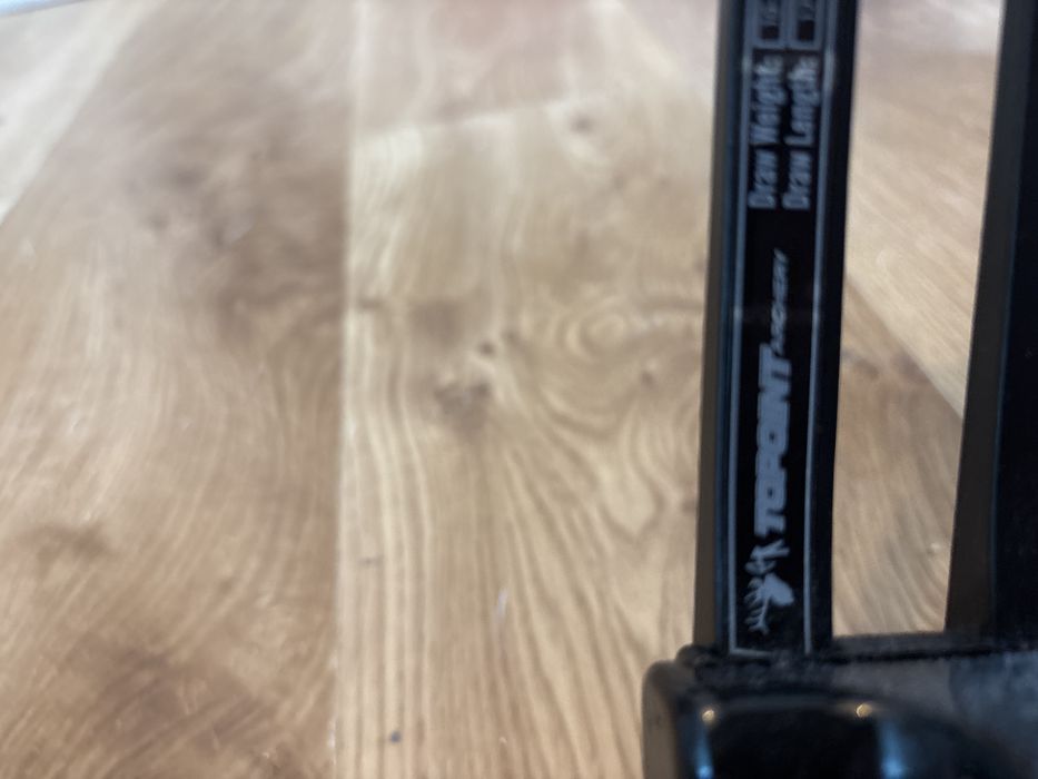 Topoint Archery M2 łuk bloczkowy regulowany10 do 40 funtów”.