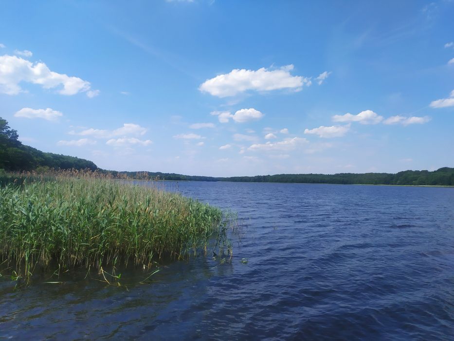 Do sprzedania działka rekreacyjna 100 m od jeziora - Widok 5