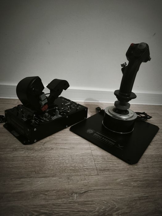 Thrustmaster warthog hotas