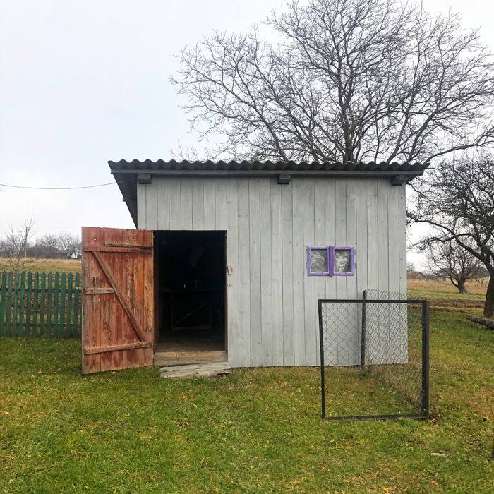 Будинок в Карпатах, біля лісу