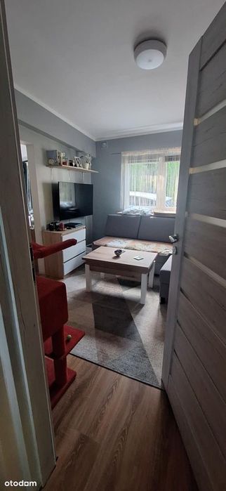 Gotowy do wprowadzenia z całoroczną wodą miejską przy lesie