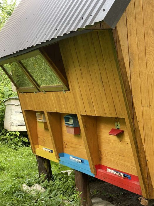 Апіхатина продам