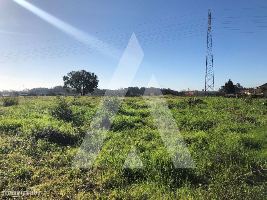 Terreno em Beduído - Estarreja