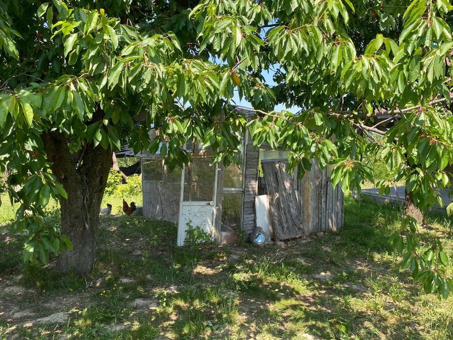 Продам будинок із землею село Широке