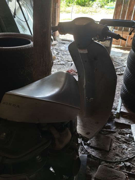 Мопед Honda Pal цілий