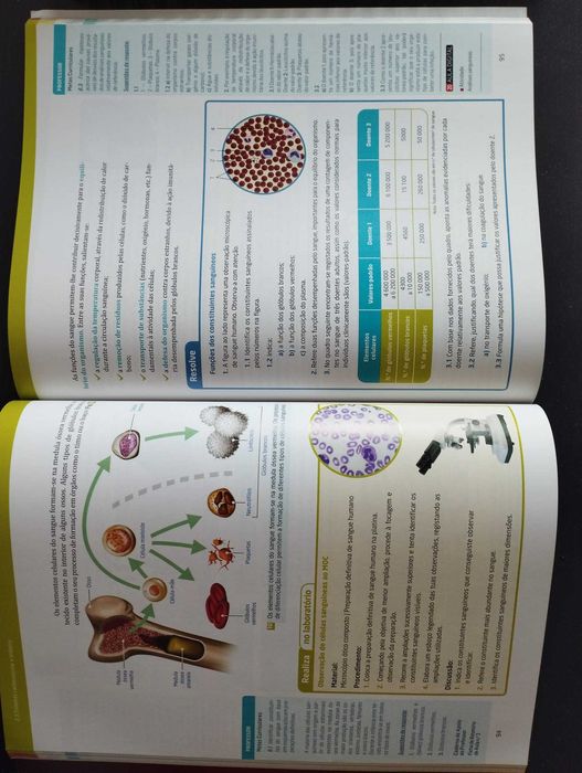 Terra CN 9 - manual, caderno de atividades NOVOS