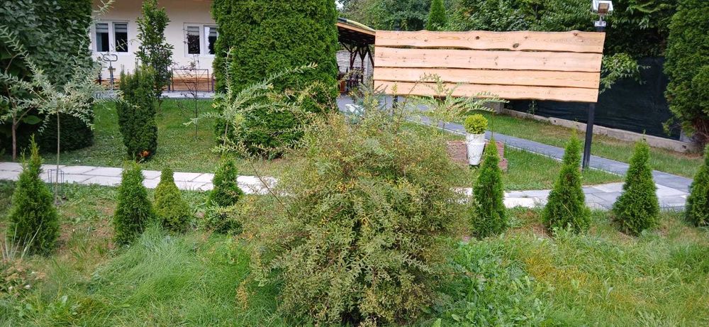 Domek całoroczny w sercu Roztocza – Zwierzyniec