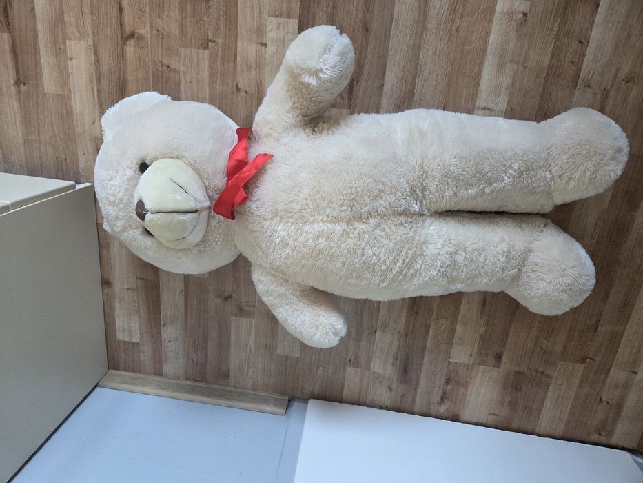 Duży kremowy Miś z kokardą.