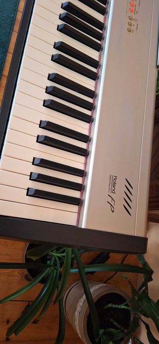 Roland FP 5 pianino cyfrowe