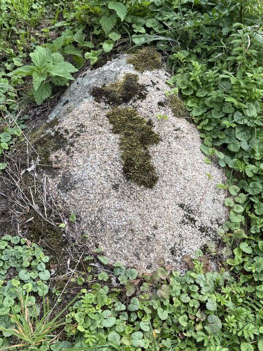 Kamienie Gruz na Utwardzenie Terenu