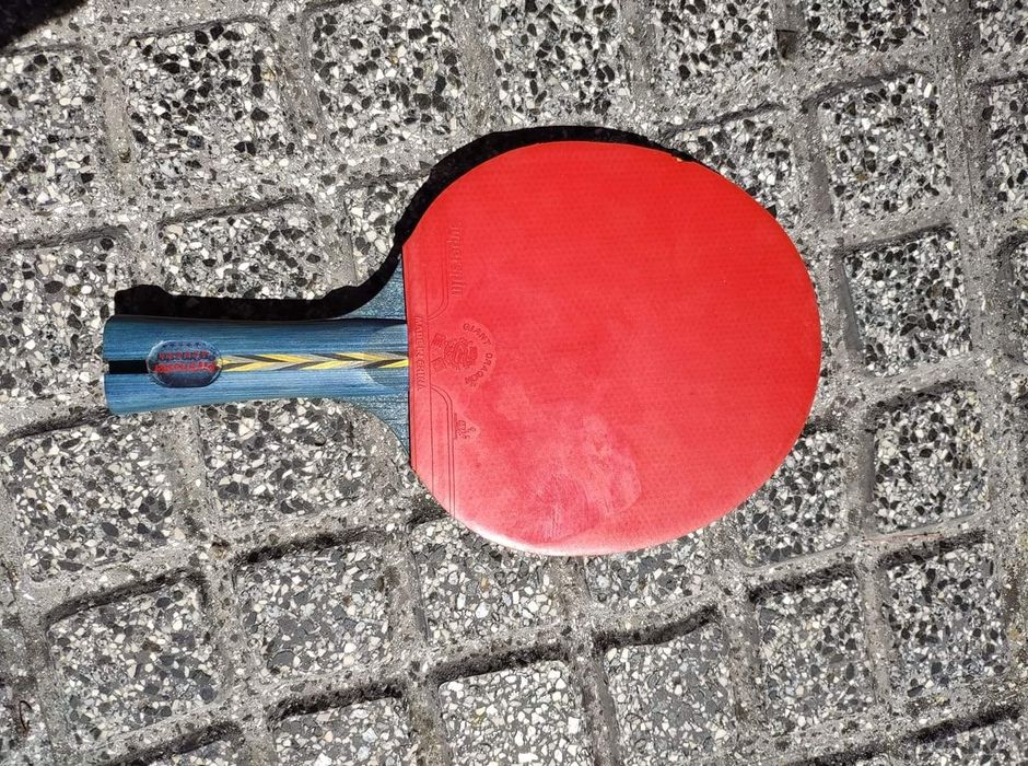 Raquete ténis de mesa Promaster 6 estrelas