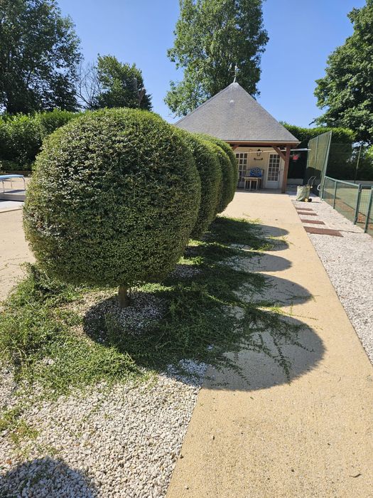 Serviços de jardinagem