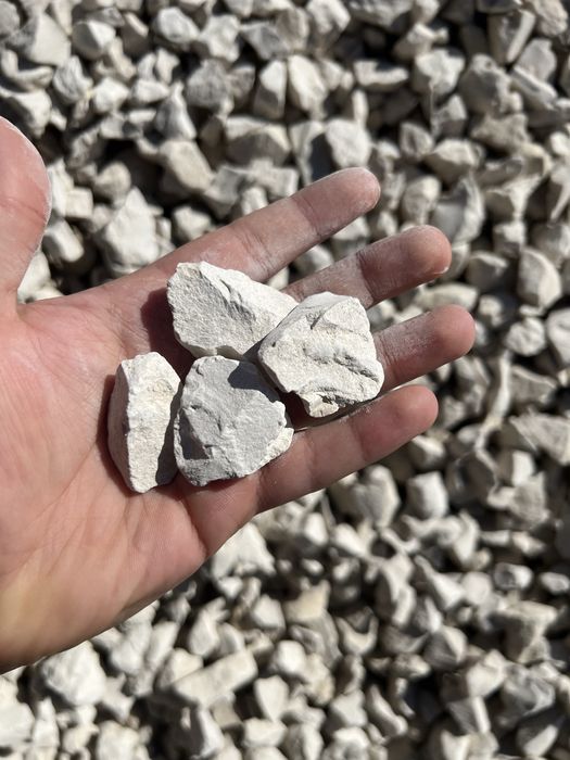 Grys granitowy dalmatyńczyk 16-22mm kamień !