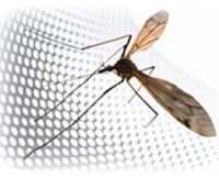 Москитні сітки: рамочні, плісе, ролетні