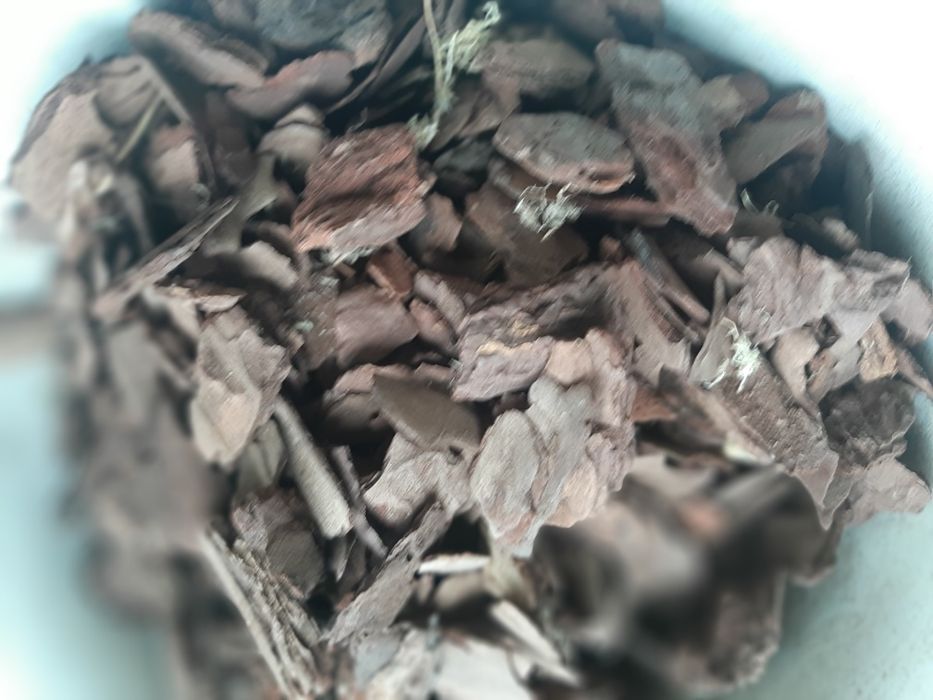 Кора ФЛОРИН доя орхідей