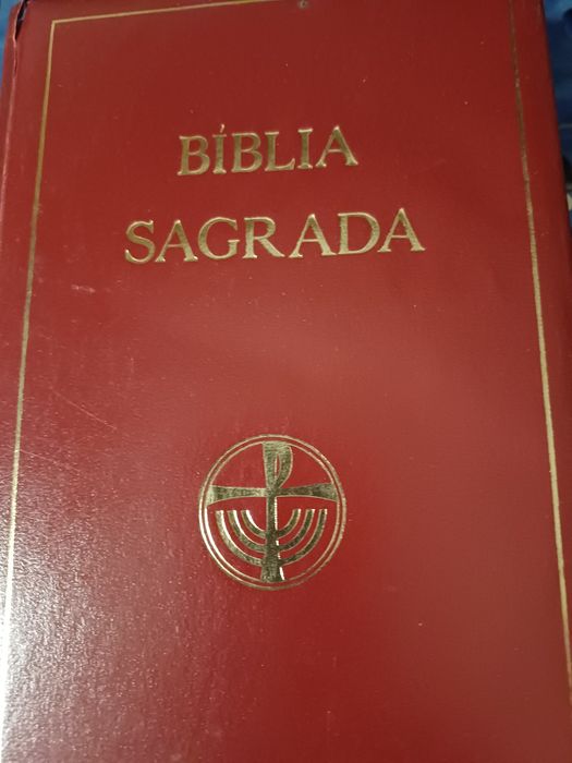 Varias biblias..