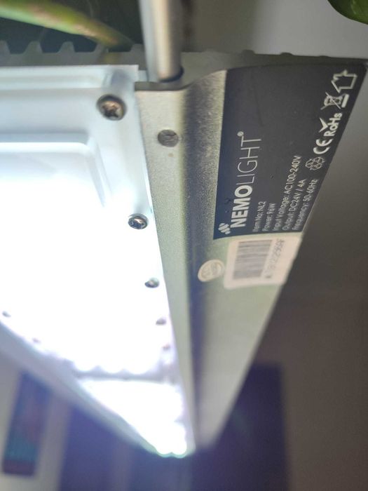 Aquário completo 100cm 50cm 50cm