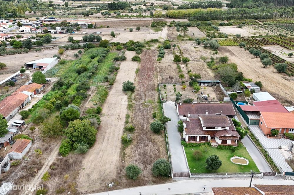 Terreno Cadima