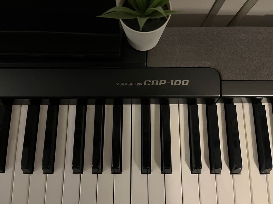Piano Casio CDP 100  + Móvel