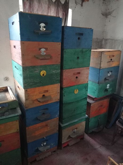 Продам вулики Рута на 10 рамок