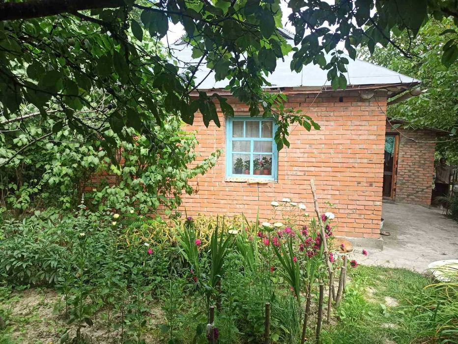 Продам будинок в с.Городище, 60с землі 5827