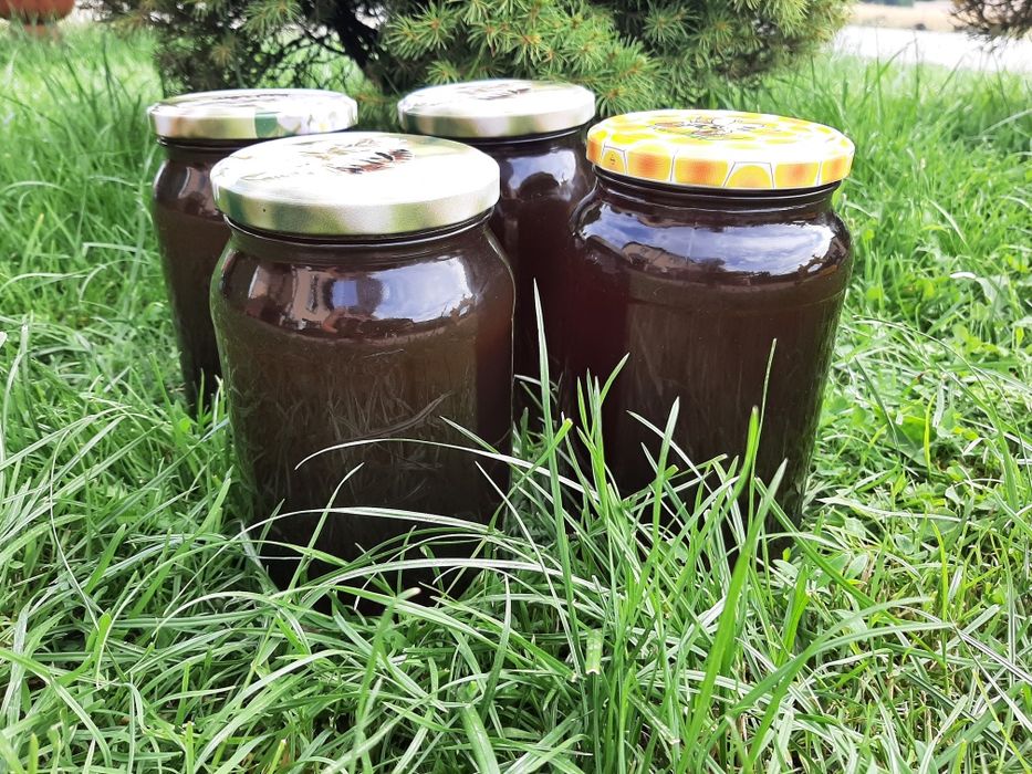 Miód spadziowy naturalny