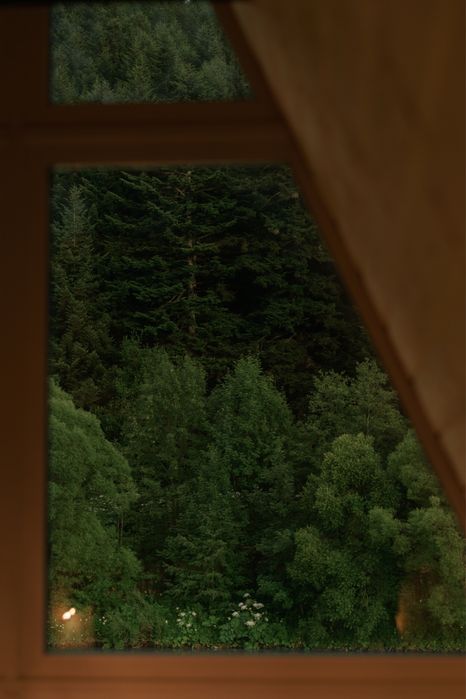 Skala_house Відпочинок в Карпатах|Котедж А- Frame|Чан