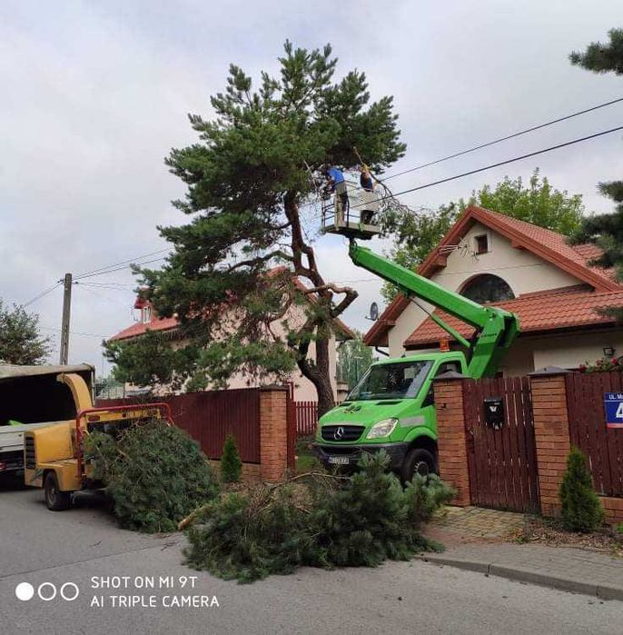 Wycinka drzew / rębak do gałęzi / czyszczenie działek / frezowanie pni