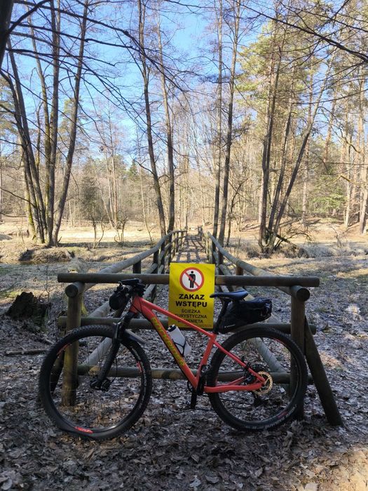 Rower górski MTB Rockrider XC 120 | SRAM NX 1x12 | RockShox Rozmiar M