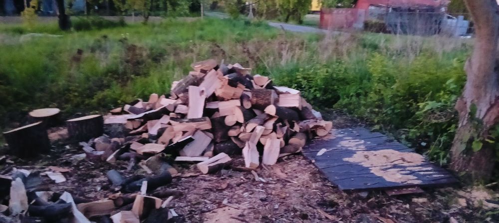 Drzewo kominkowe buk dąb klon