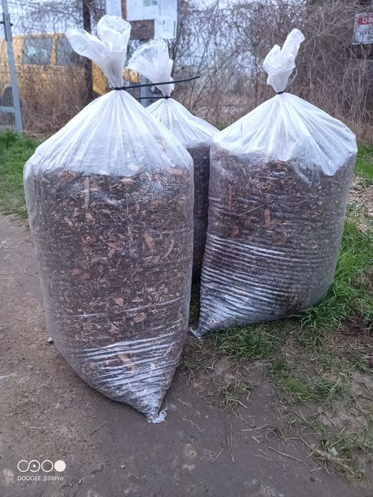 Zrębka z drzew liściastych workowana 100L + transport