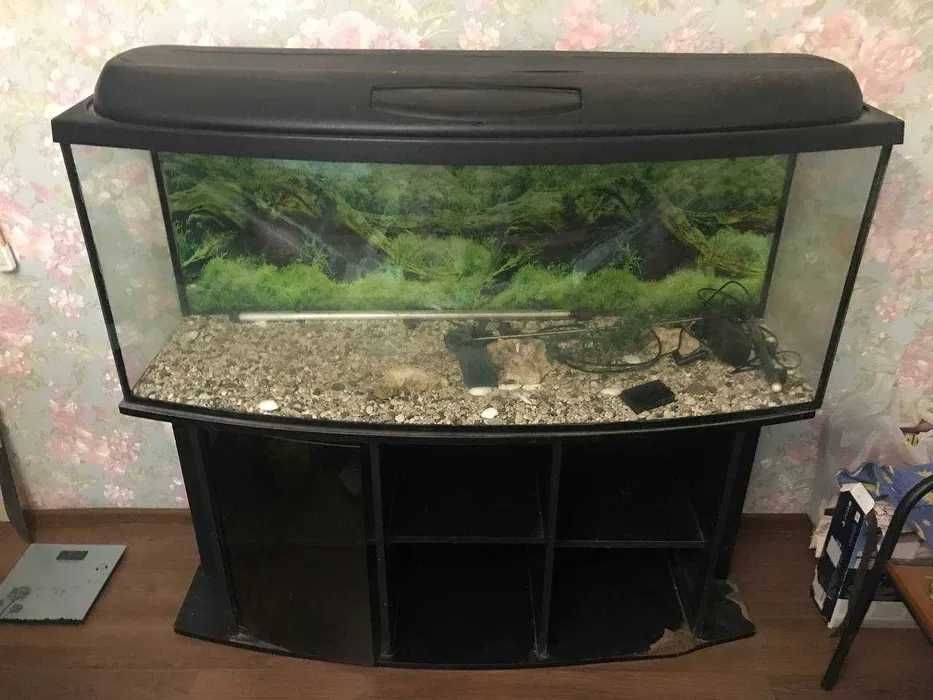 Аквариум на 500 литров + Тумба под него
