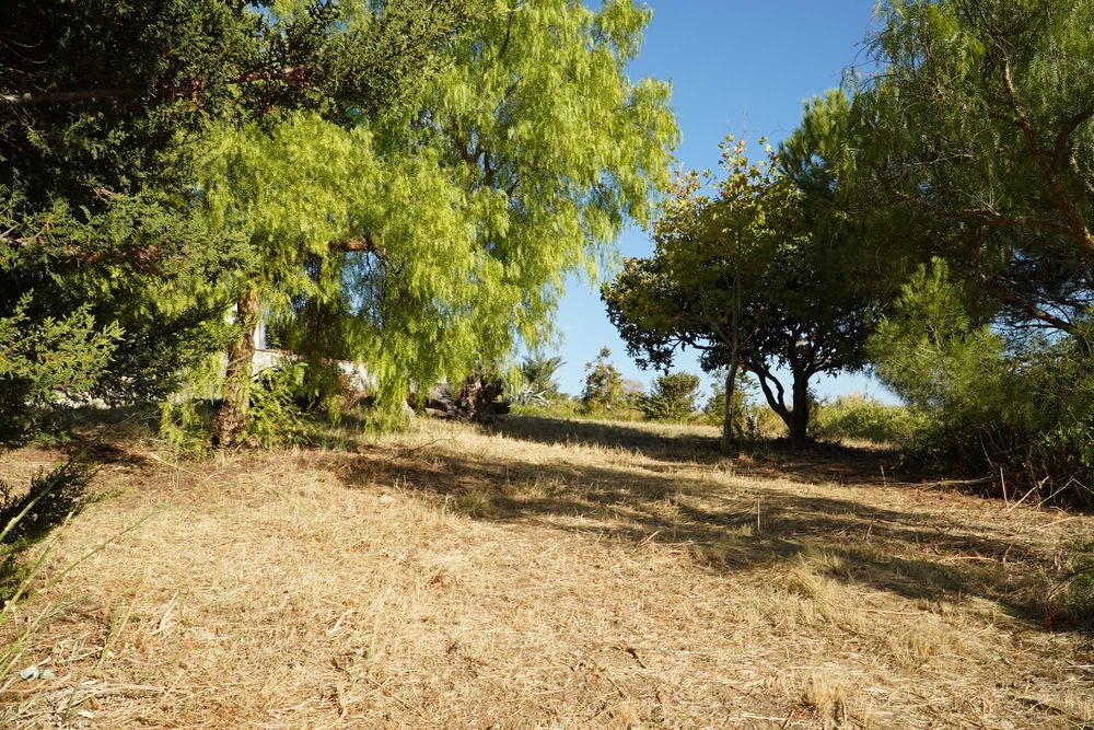 Vende-se lote terreno na Quinta da Aliança - S. João dos Montes