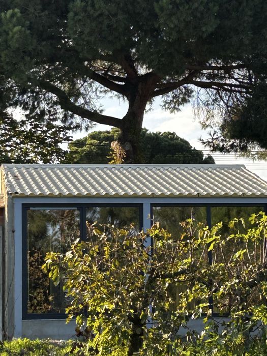 Aluga se estudio no lau a estrear