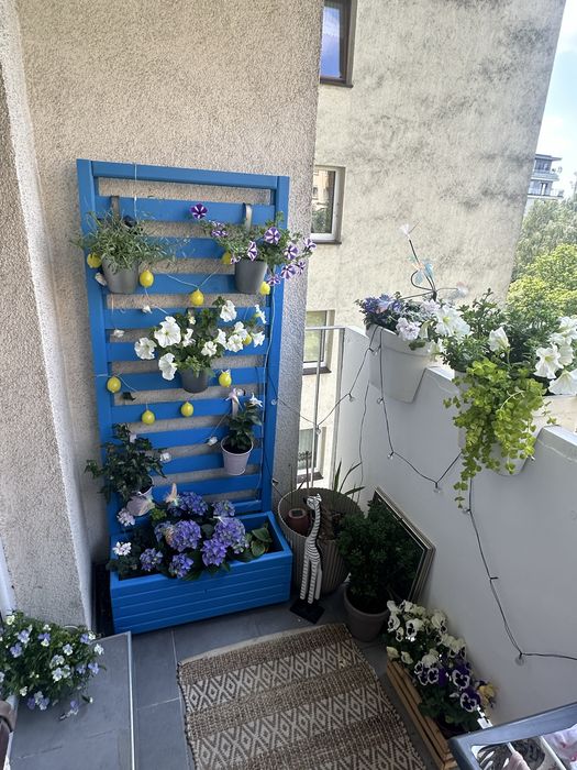 Pergola balkonowa z donicą