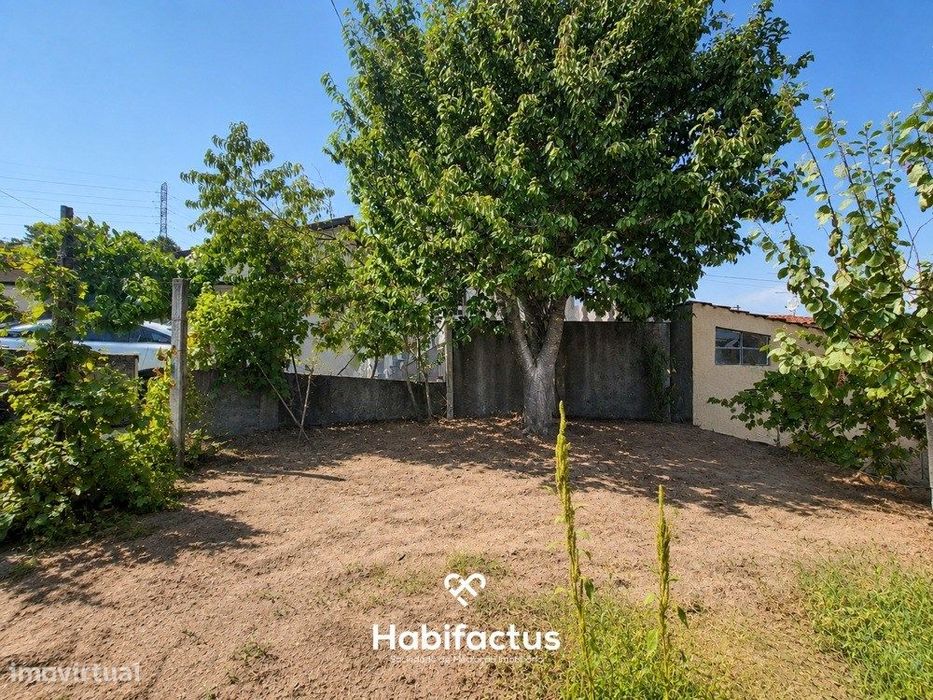 Moradia T3 para Remodelar em Bodiosa com Terreno