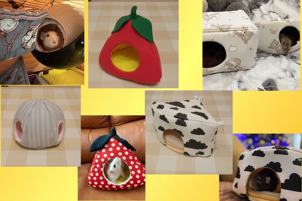 гамак, домик, туннель для крыс, морской свинки, дегу, грызунов.