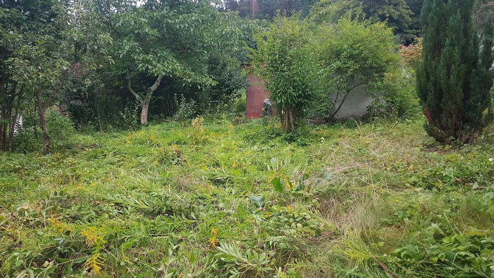 Działka ROD Leśnik 251 m² – Gdańsk Oliwa, ul. Kwietna, cisza, las, świetna lokalizacja - Widok 2